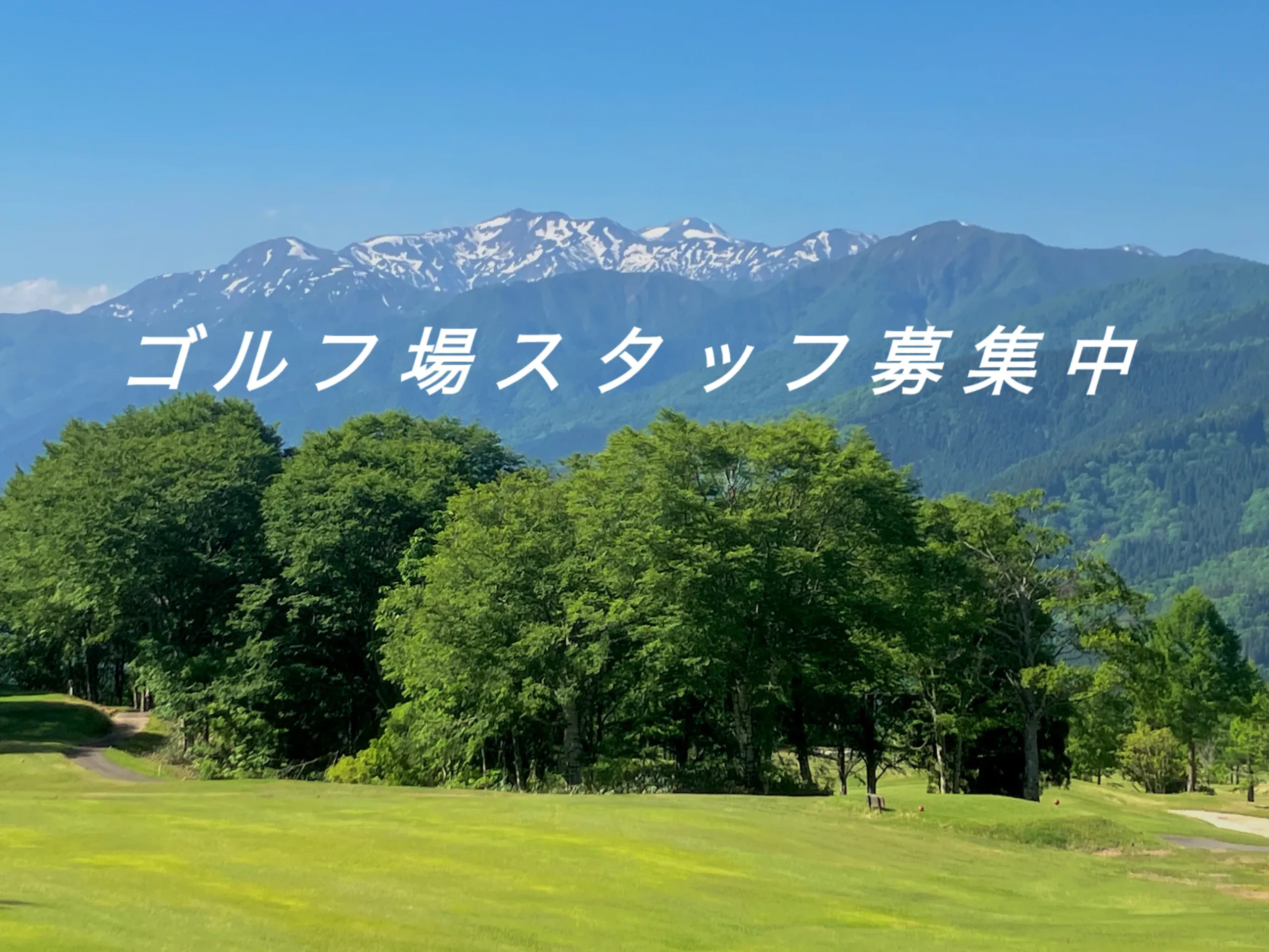スタッフ募集